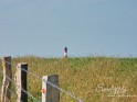 Westerhever Sand 3